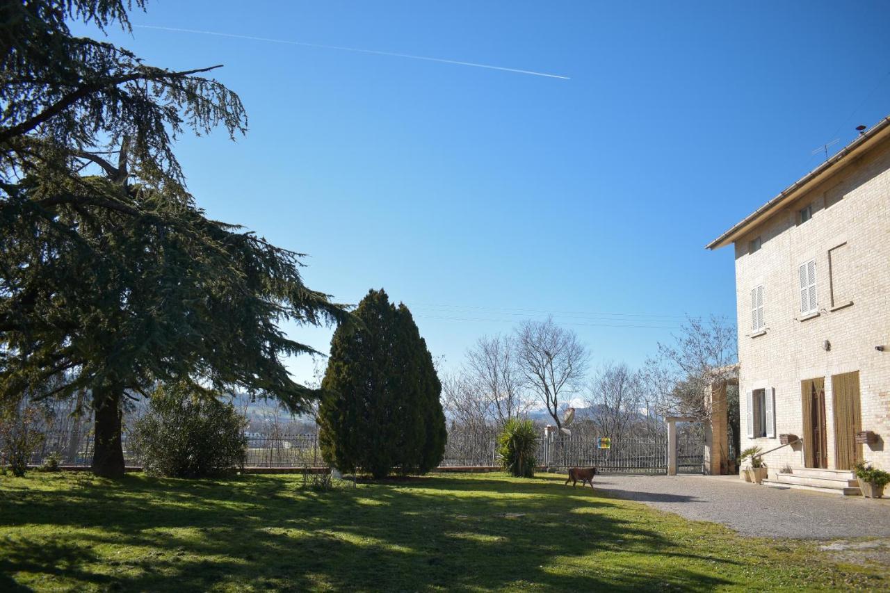 Il Glicine Bed & Breakfast Falerone Exterior photo