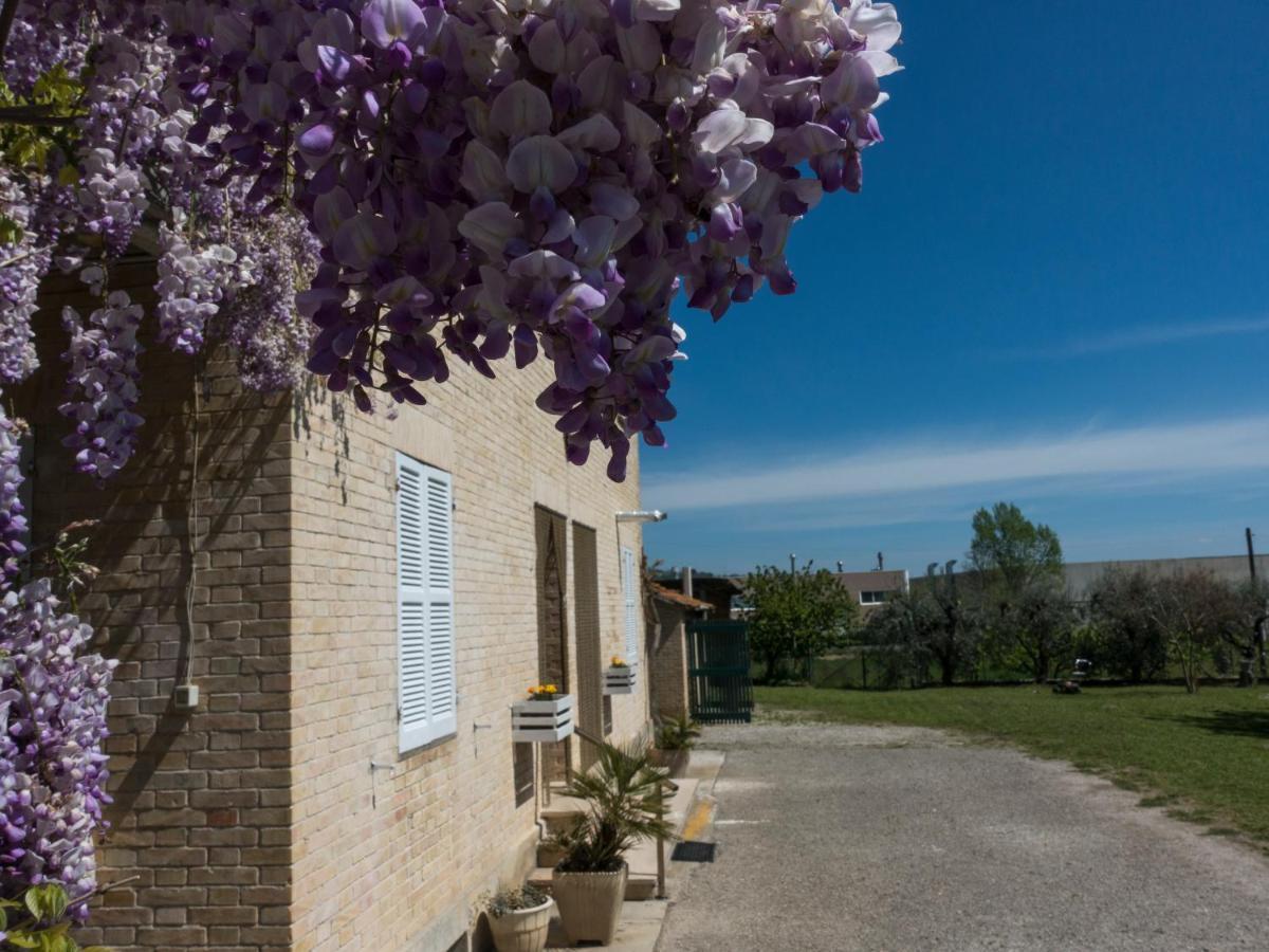 Il Glicine Bed & Breakfast Falerone Exterior photo